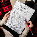 LBKHOUSE Christmas Owls Spiral Bound Coloring Book for Adult