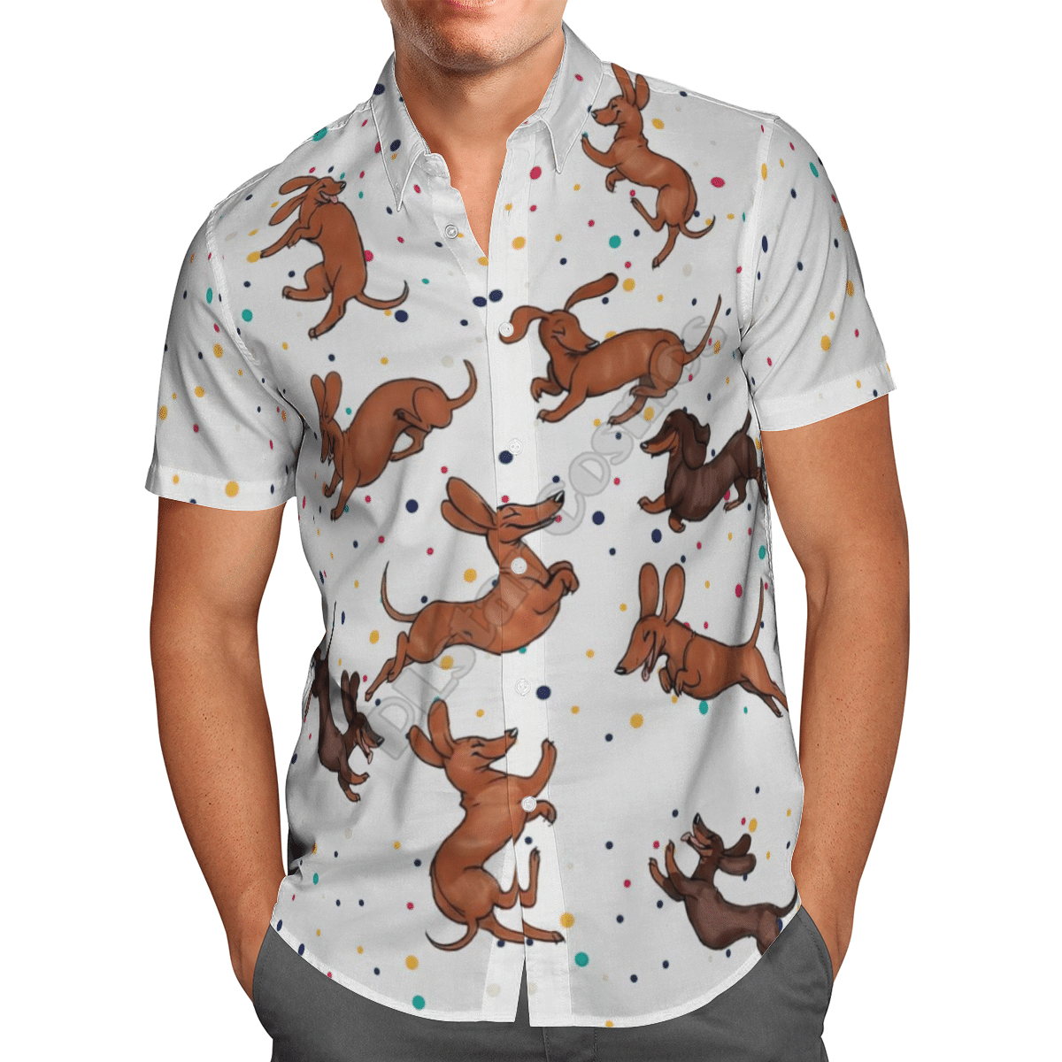 Funny Dachshund White High Quality Unisex Hawaiian Shirt For Men And Women Dhc17064099