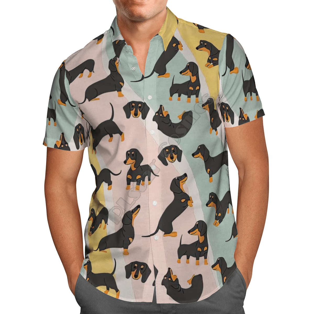 Funny Dachshund Colorful Awesome Design Unisex Hawaiian Shirt For Men And Women Dhc17064100