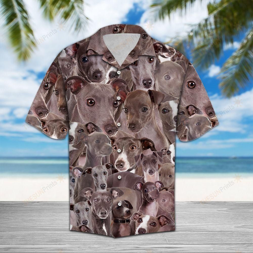 Italian Greyhound Gray Amazing Design Hawaiian Shirt For Men Women