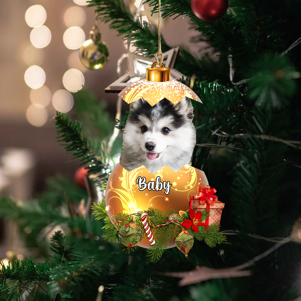 Personalized Gift For Pet Lovers Custom Image Pet In Egg Ornament
