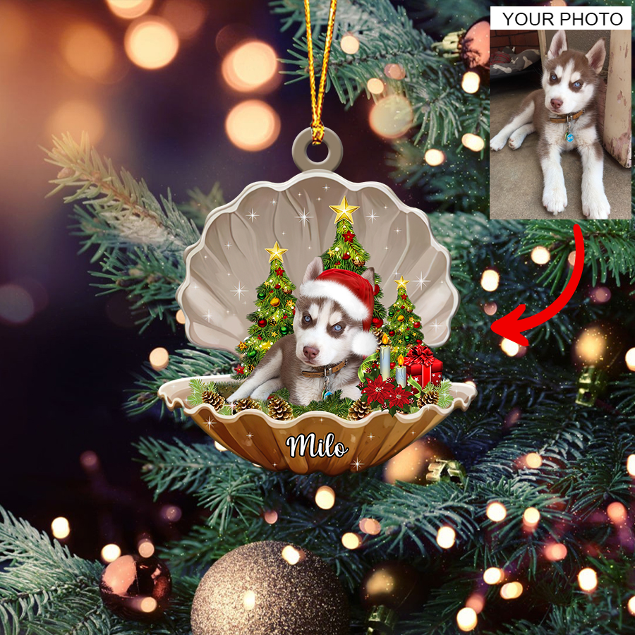 Personalized Gift For Pet Lovers Pet In Seashell Ornament