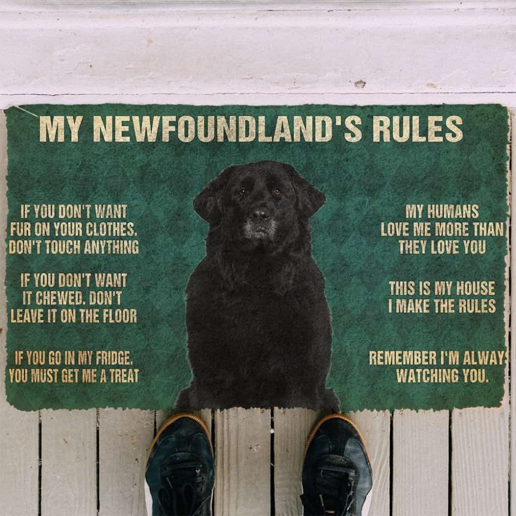 3D Newfoundland's Rules Doormat