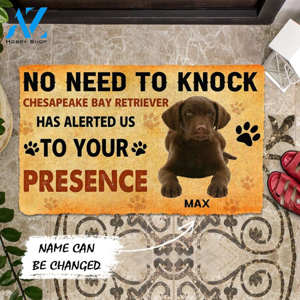 3D No Need To Knock Chesapeake Bay Retriever Dog Custom Name Doormat | Welcome Mat | House Warming Gift