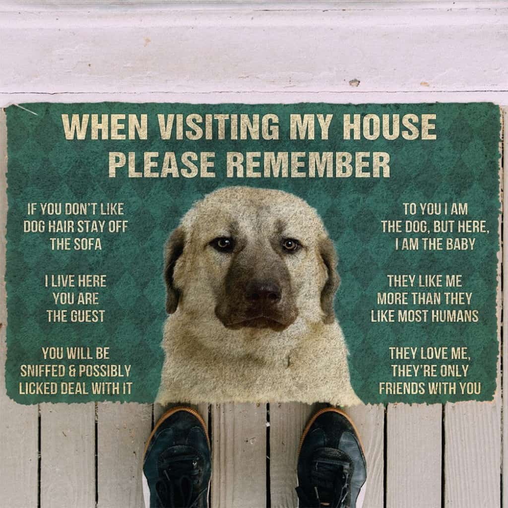 3D Please Remember Anatolian Shepherd Dogs House Rules Custom Doormat