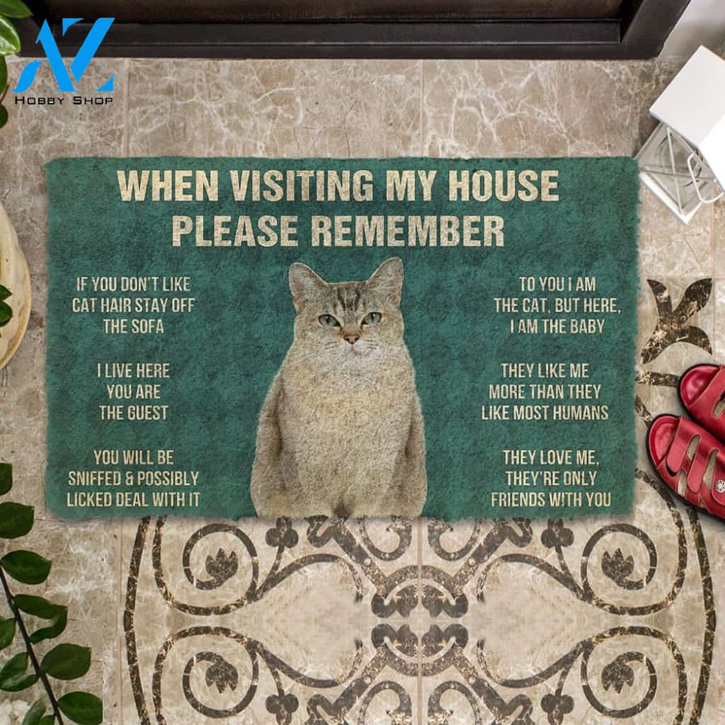 3D Please Remember Burmilla Cats House Rules Custom Doormat | Welcome Mat | House Warming Gift