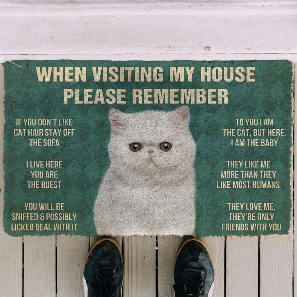 3D Please Remember Exotic Shorthair Cats House Rules Doormat