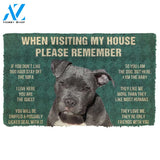 3D Please Remember Pitbull House Rules Custom Doormat | Welcome Mat | House Warming Gift
