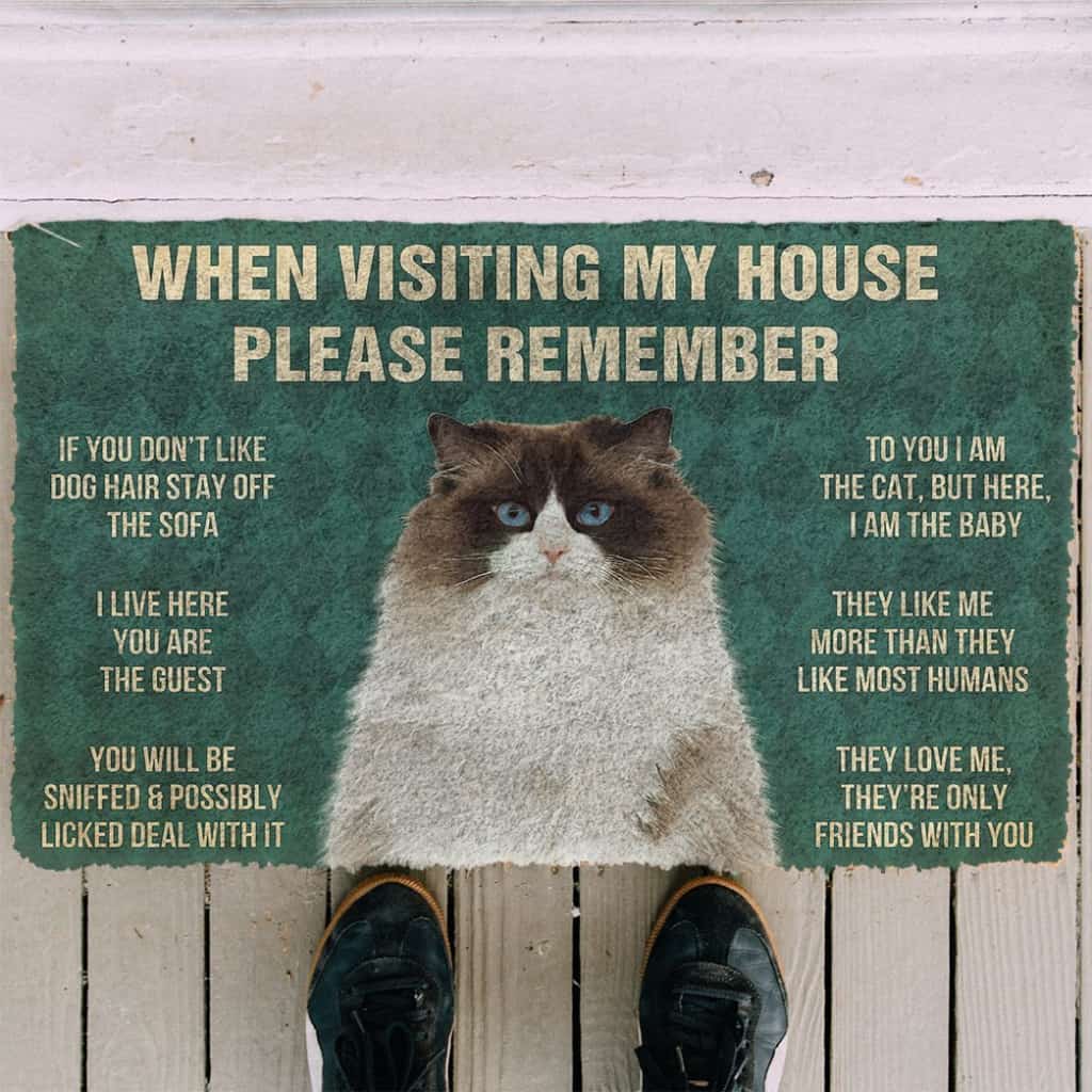 3D Please Remember Ragdoll Cats House Rules Doormat