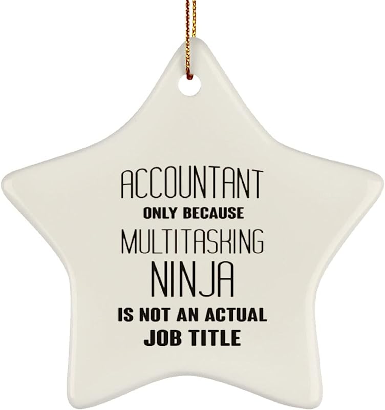 Funny Accountant Christmas Ornament Novelty Gift For Coworkers Accounting Job Title Sarcastic Office Humor Decor Xmas Tree