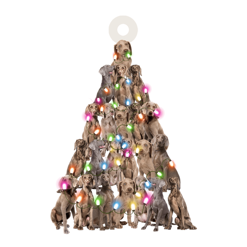 Weimaraner Lovely Tree Gift For Weimaraner Lover Gift For Dog Lover Ornament