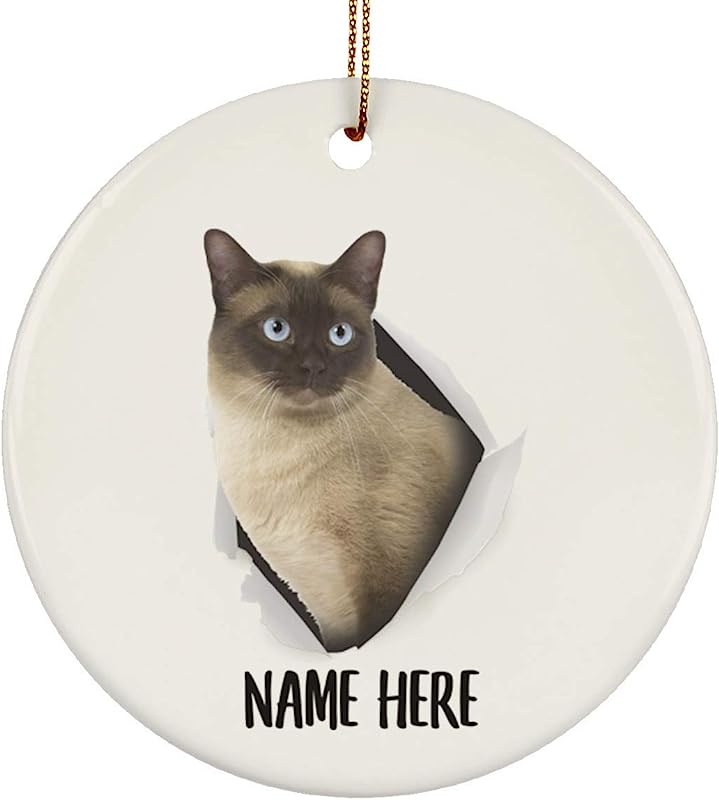 Cute Tonkinese Cat Champange Personalized Name Gifts Christmas Tree Ornaments Circle Ceramic