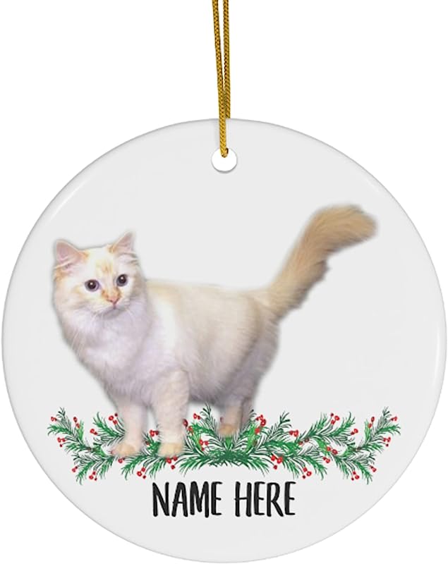 Funny Personalized Name Ragdoll Cat Red Cream Gifts Christmas Tree Ornaments Circle Ceramic