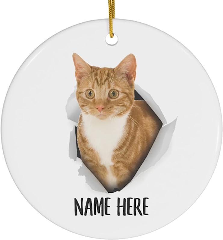Cute Tabby Cat Red Personalized Name Gifts Christmas Tree Ornaments Circle Ceramic