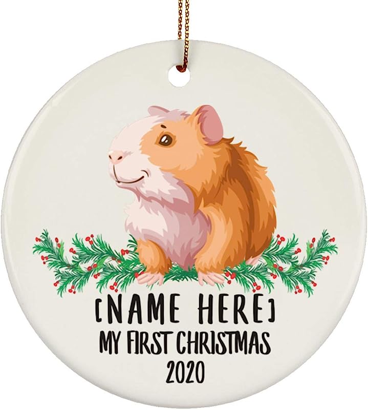 Personalized Name Custom Year Guinea Pig Cute New Years 2024 Decorations Gifts First Christmas Tree Ornaments Ceramic Circle