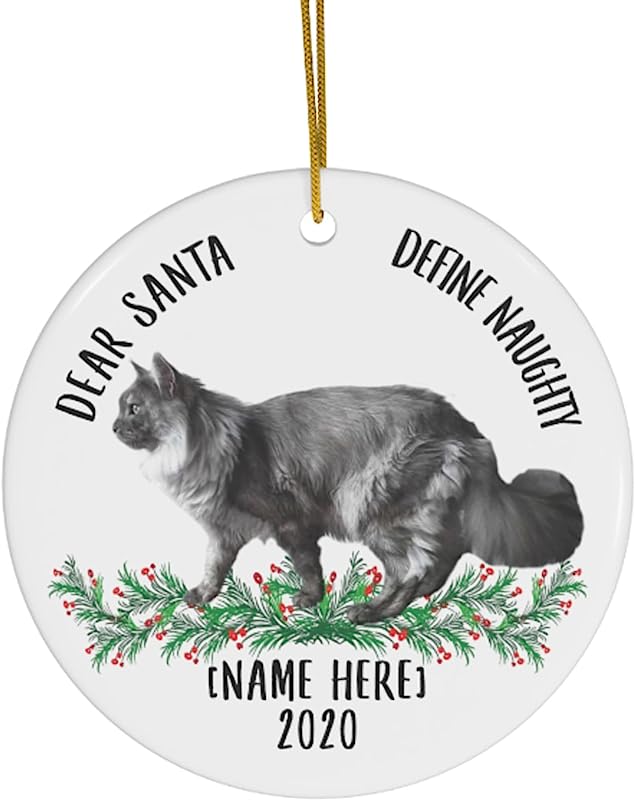 Lovesout Funny Personalized Name Maine Coon Cat Gray Dear Santa Define Naughty Gifts Christmas Tree Ornaments White Ceramic Circle