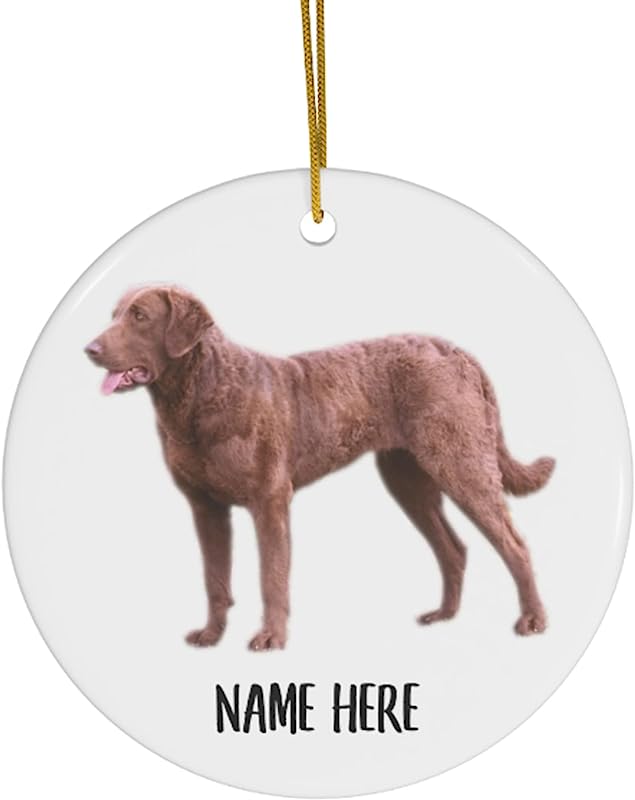 Lovesout Funny Chesapeake Bay Retriever Brown Red Personalized Name Gifts Christmas Tree Ornaments Circle