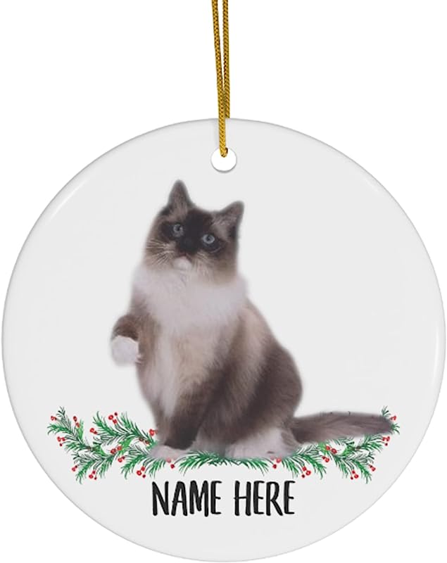 Funny Personalized Name Ragdoll Cat Seal Gifts Christmas Tree Ornaments Circle Ceramic