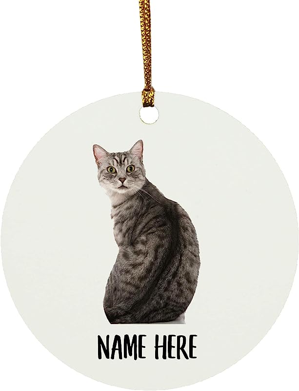 Funny Manx Cat Grey Tabby Personalized Name Gifts Christmas Tree Ornaments Circle