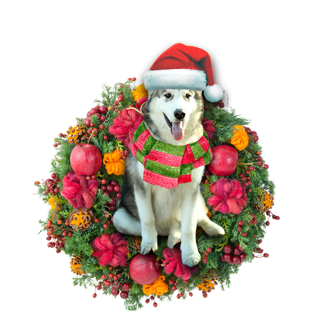 Godmerch- Ornament- Alaskan Malamute Christmas Ornament, Happy Christmas Ornament, Car Ornament