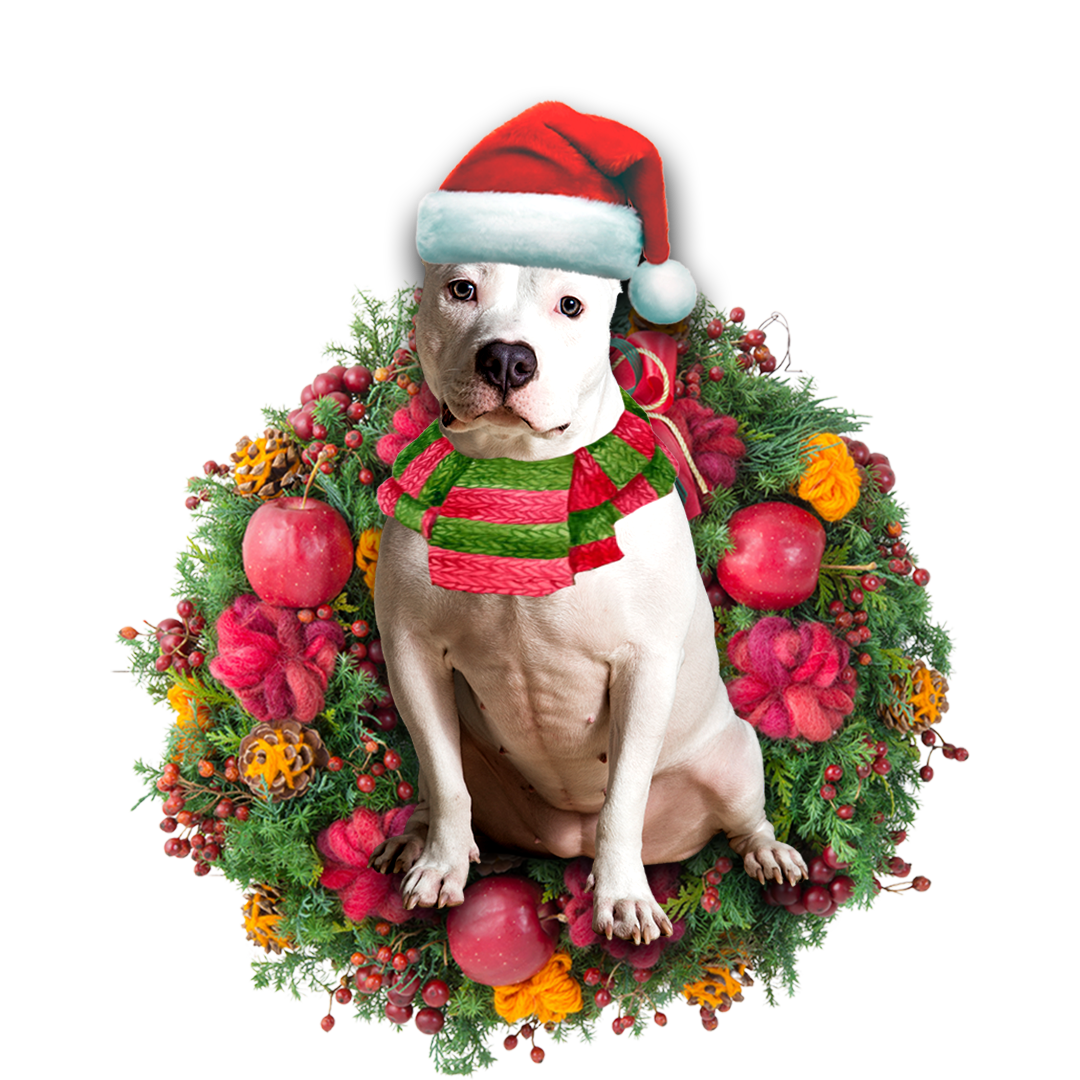 Godmerch- Ornament- American Bulldog Christmas Ornament, Happy Christmas Ornament, Car Ornament