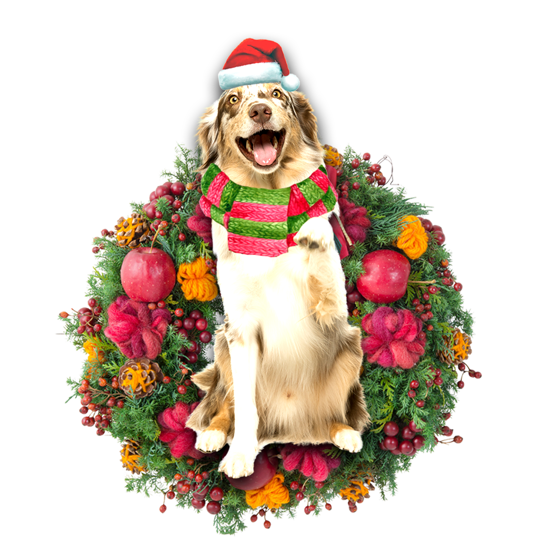 Godmerch- Ornament- Australian Shepherd Christmas Ornament, Happy Christmas Ornament, Car Ornament