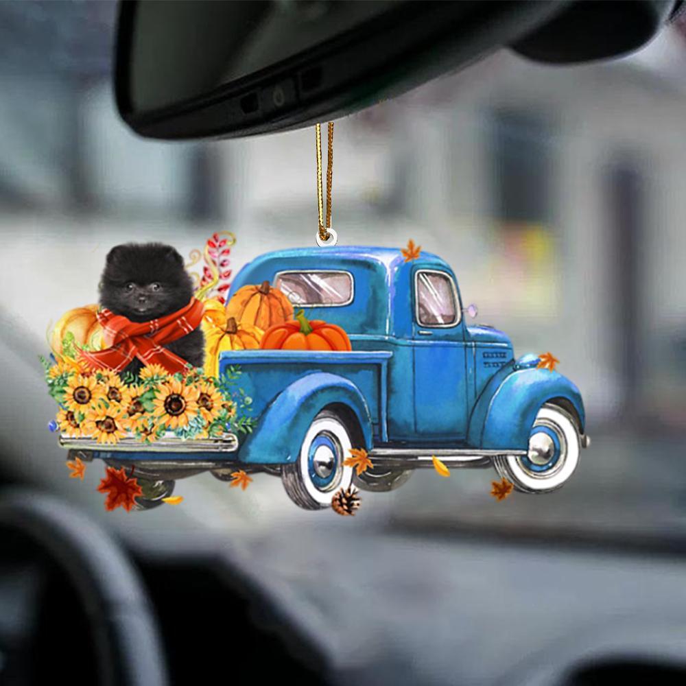 BLACK Pomeranian-Little Pumpkin-Two Sided Ornament