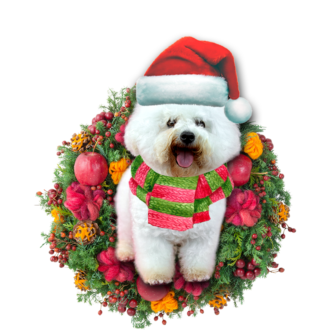 Godmerch- Ornament- Bichon Frise Christmas Ornament, Happy Christmas Ornament, Car Ornament