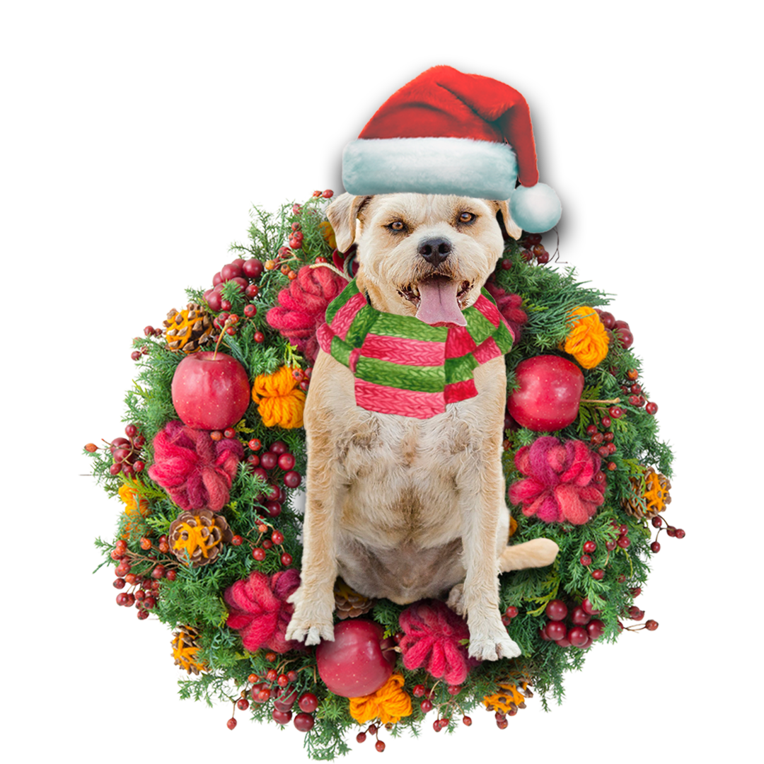 Godmerch- Ornament- Border Terrier Christmas Ornament, Happy Christmas Ornament, Car Ornament