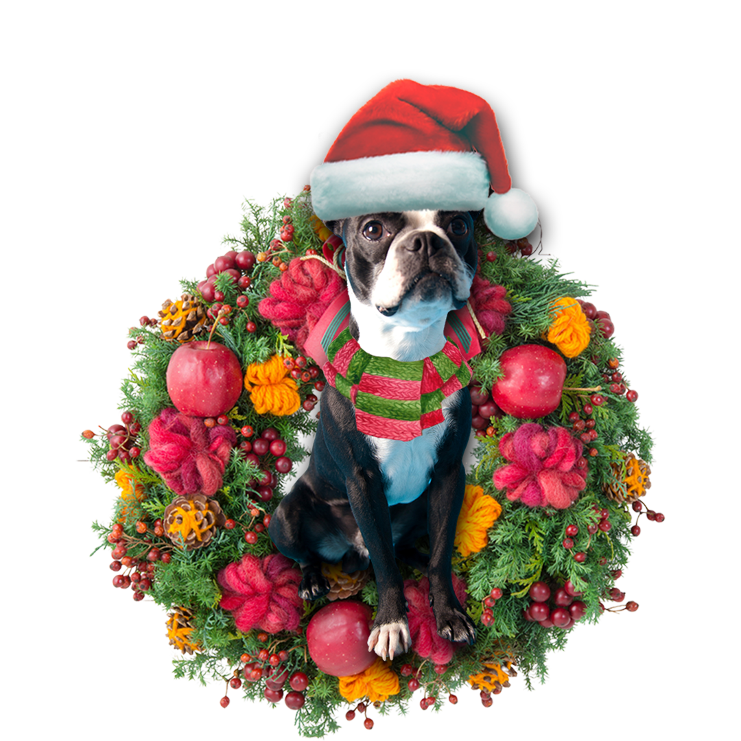 Godmerch- Ornament- Boston Terrier Christmas Ornament, Happy Christmas Ornament, Car Ornament