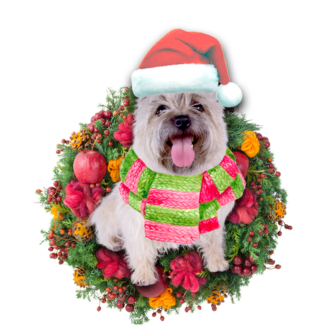 Godmerch- Ornament- Cairn Terrier Christmas Ornament, Happy Christmas Ornament, Car Ornament