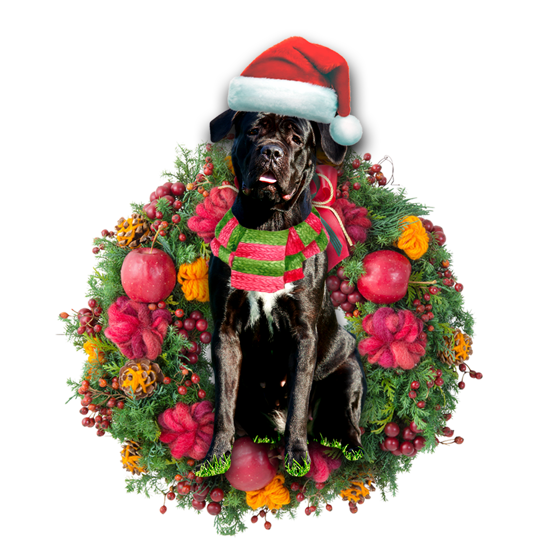 Godmerch- Ornament- Cane Corso Christmas Ornament, Happy Christmas Ornament, Car Ornament