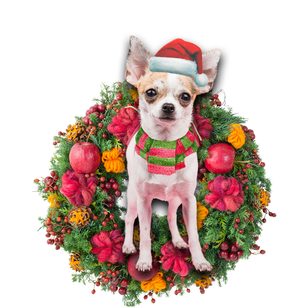 Godmerch- Ornament- Chihuahua Christmas Ornament, Happy Christmas Ornament, Car Ornament