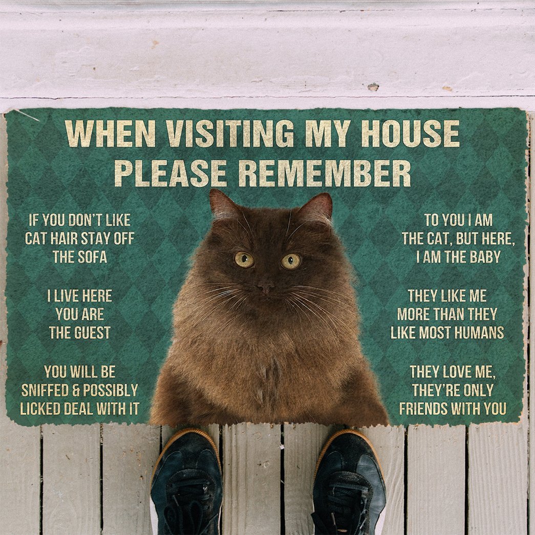 3D Please Remember Persian Cat House Rules Doormat