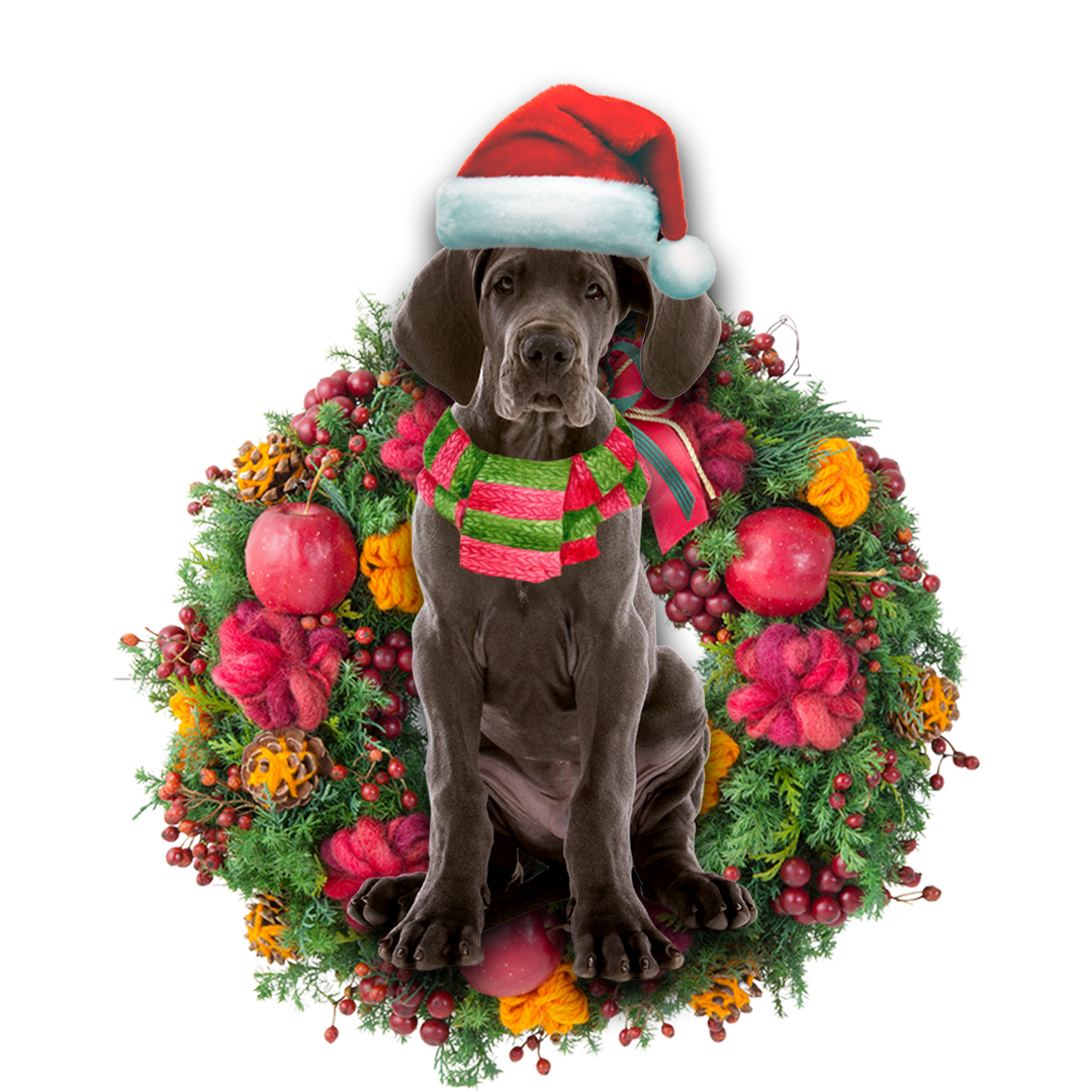 Godmerch- Ornament- Great Dane Christmas Ornament, Happy Christmas Ornament, Car Ornament