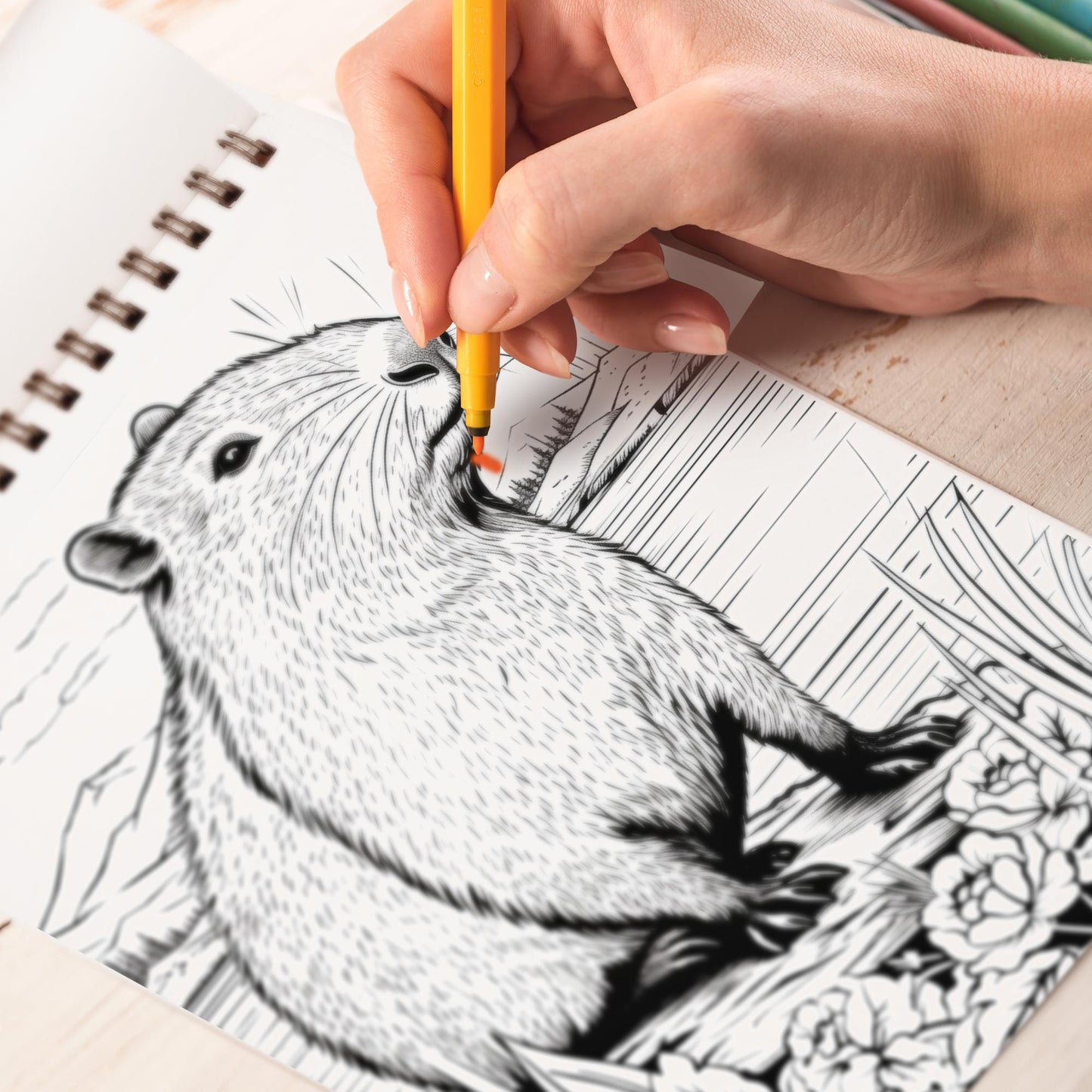 Capybara Coloring Book