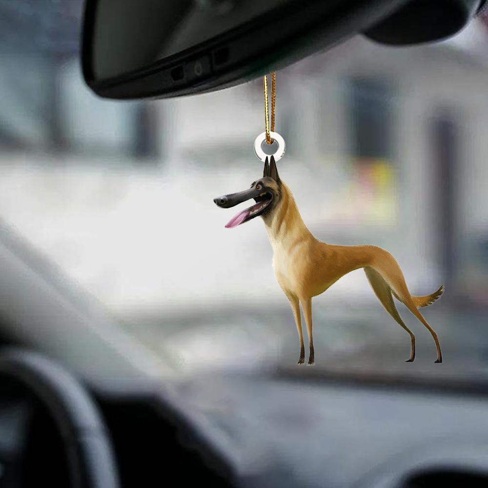 Malinois-Look At Me-Two Sided Ornament