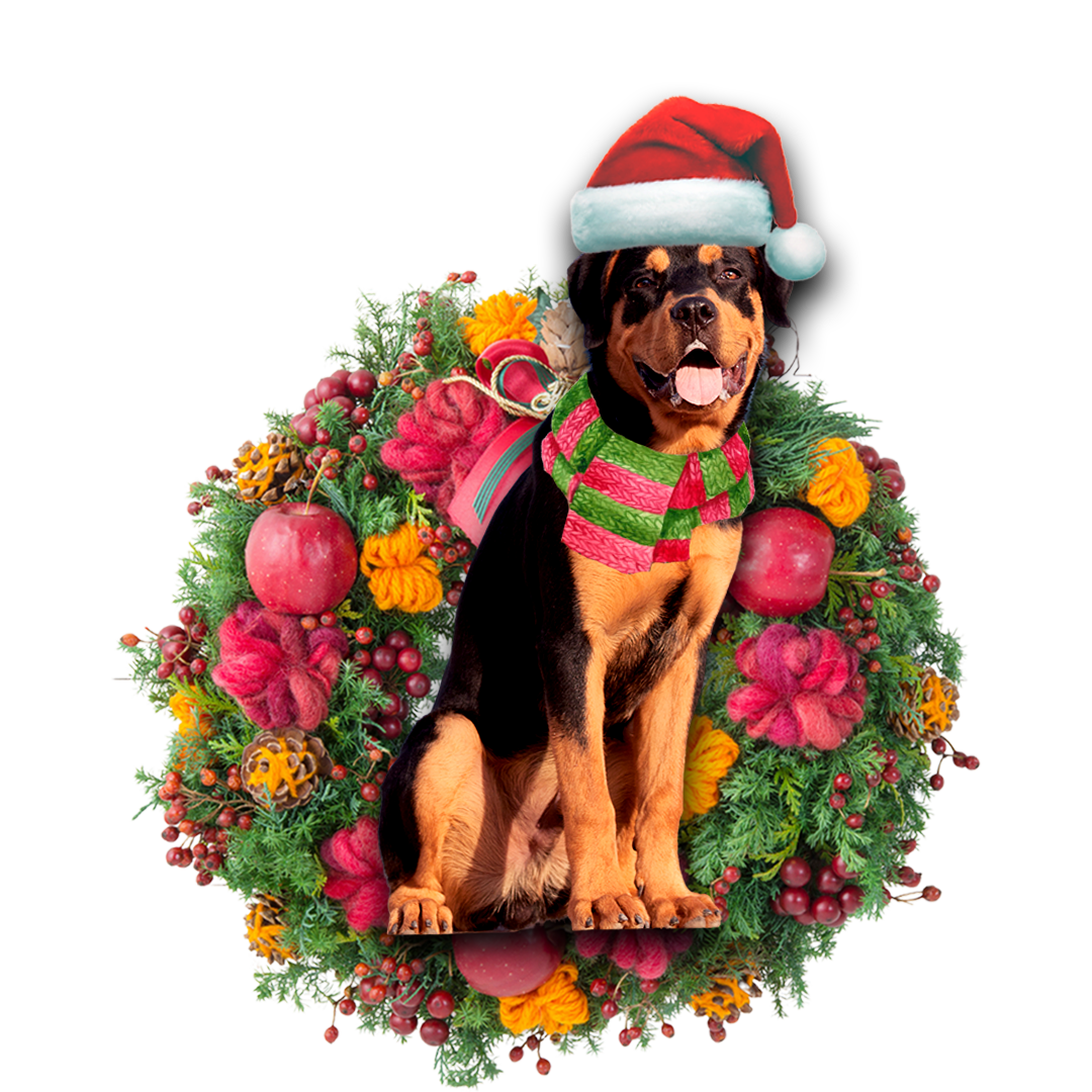 Godmerch- Ornament- Rottweiler Christmas Ornament, Happy Christmas Ornament, Car Ornament