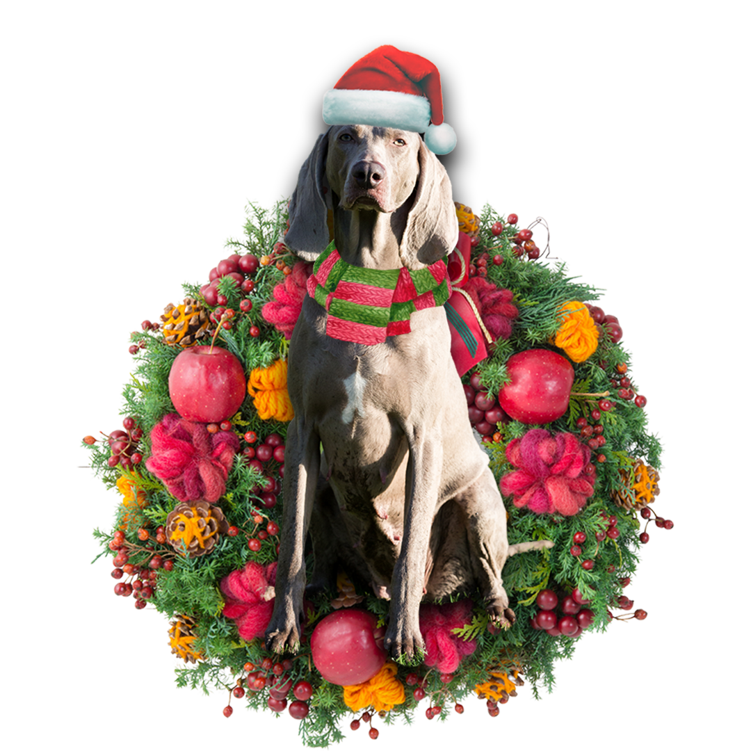 Godmerch- Ornament- Weimaraner Christmas Ornament, Happy Christmas Ornament, Car Ornament