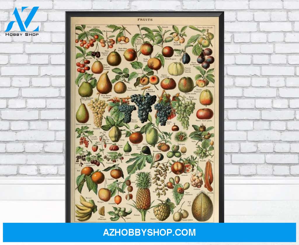 Adolphe Millot Butterflies Canvas And Poster, Wall Decor Visual Art 1