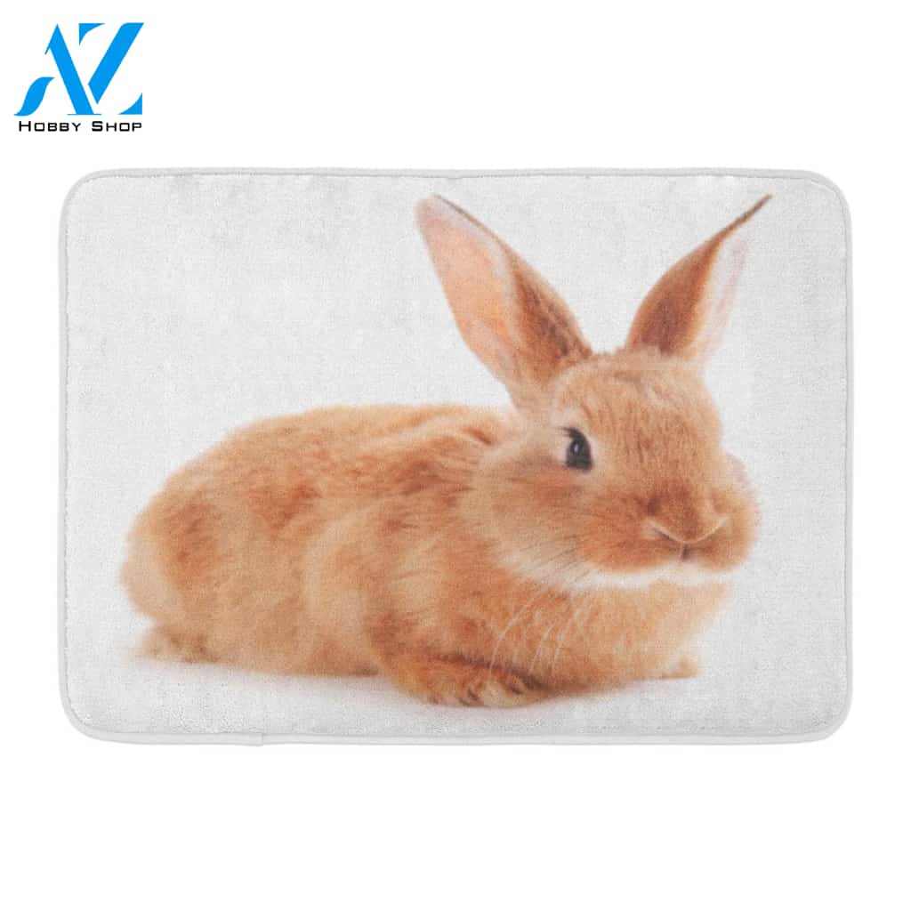 Alone Brown Bunny Little Rabbit White Adorable Animal Rug Doormat Welcome Mat House Warming Gift Home Decor Funny Doormat Gift Idea
