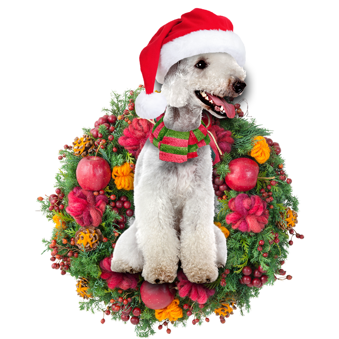 Godmerch- Ornament- Bedlington Christmas Ornament, Happy Christmas Ornament, Car Ornament