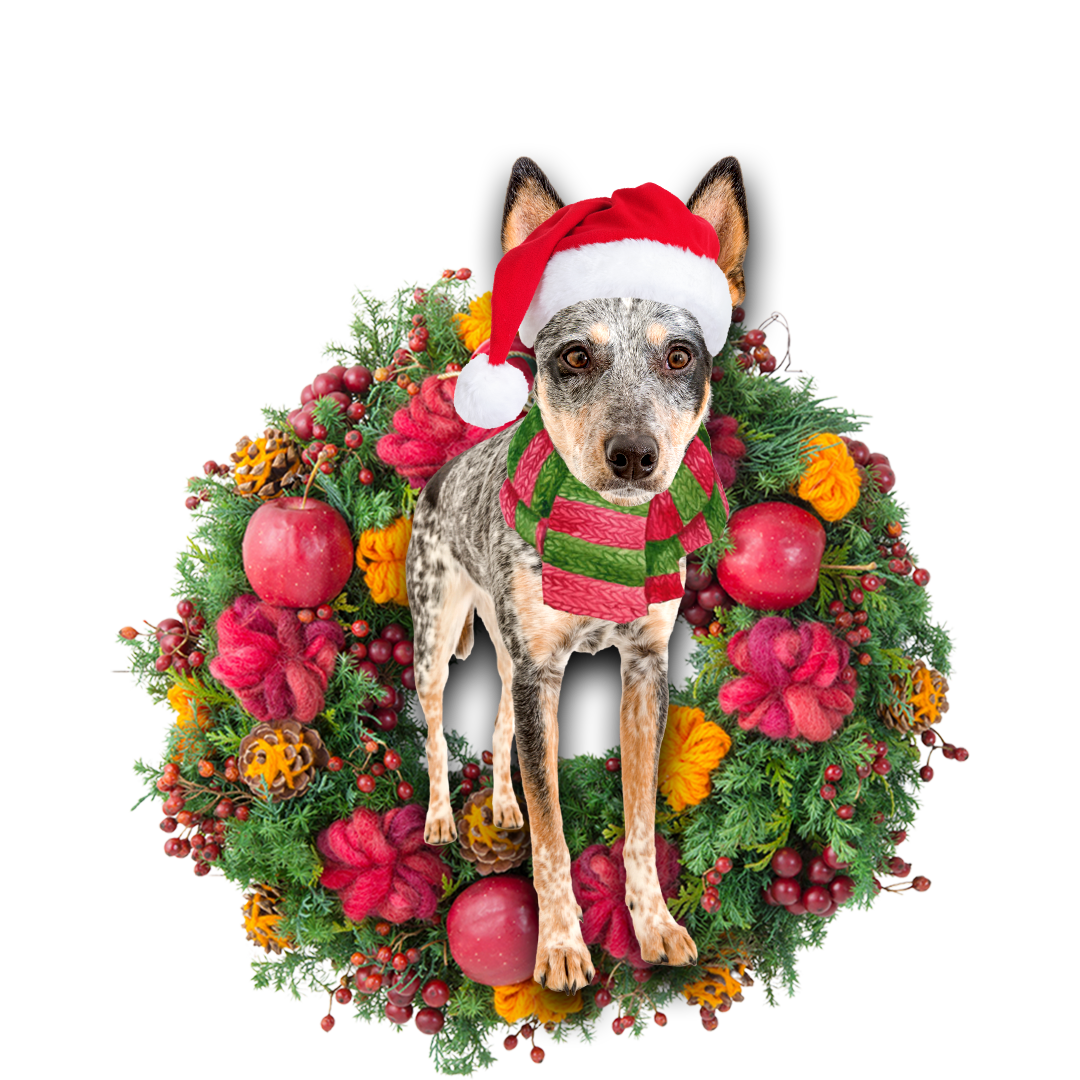 Godmerch- Ornament- Blue Heeler Christmas Ornament, Happy Christmas Ornament, Car Ornament