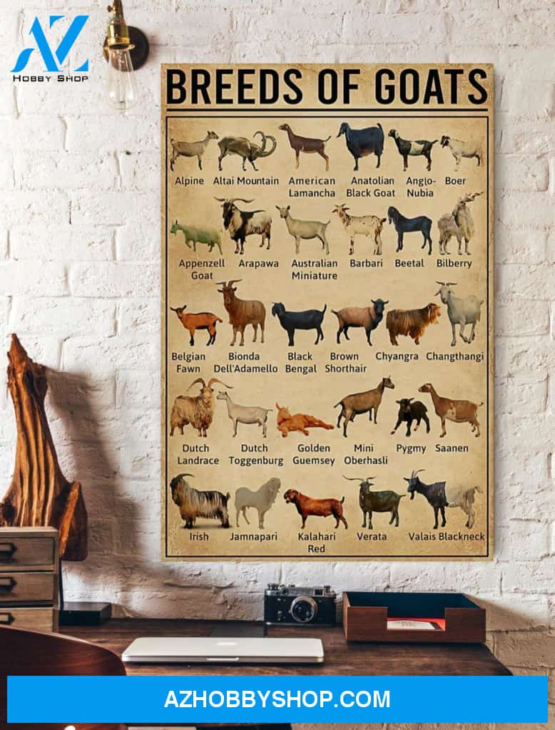 Breeds Of Goats Canvas And Poster, Wall Decor Visual Art