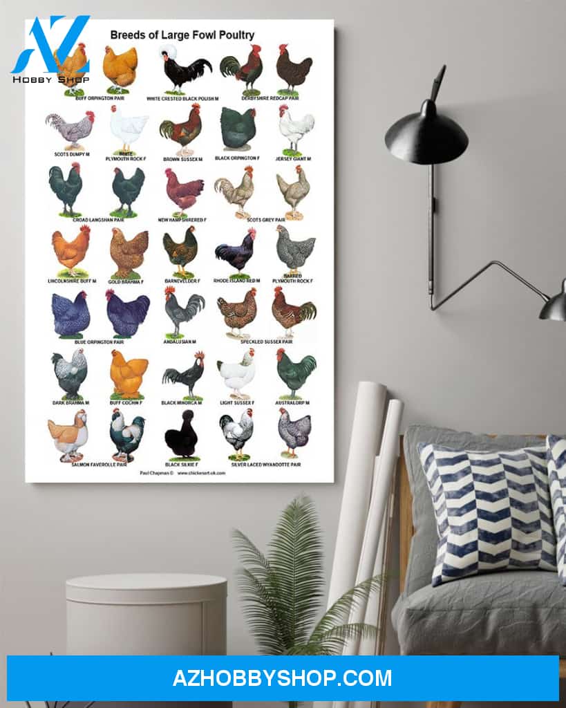 Breeds Of Large Fowl Poultry Canvas And Poster, Wall Decor Visual Art