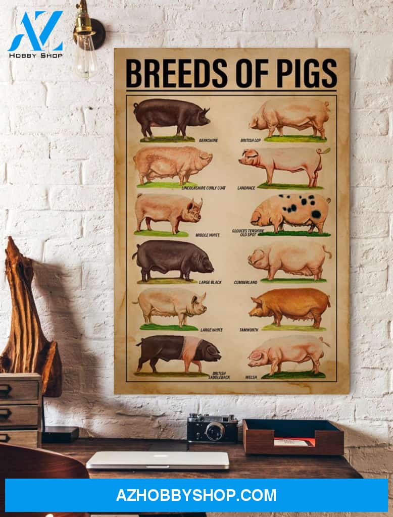 Breeds Of Pigs Canvas And Poster, Wall Decor Visual Art
