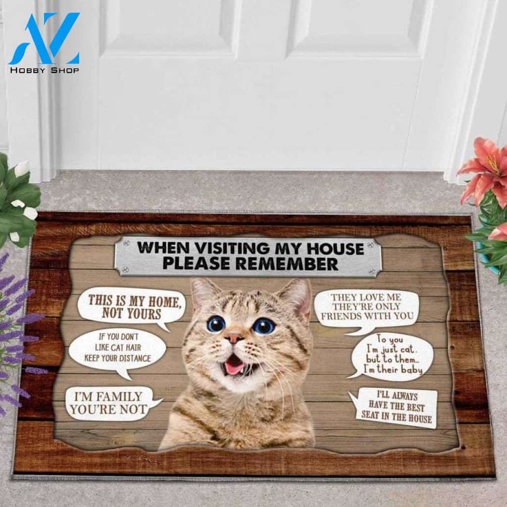 Cat please remember doormat, Personalized doormat, HouseWarming, Gifts for friend, Door Rug, Home Decor, Cat Lover, Gifts For Cat Lover