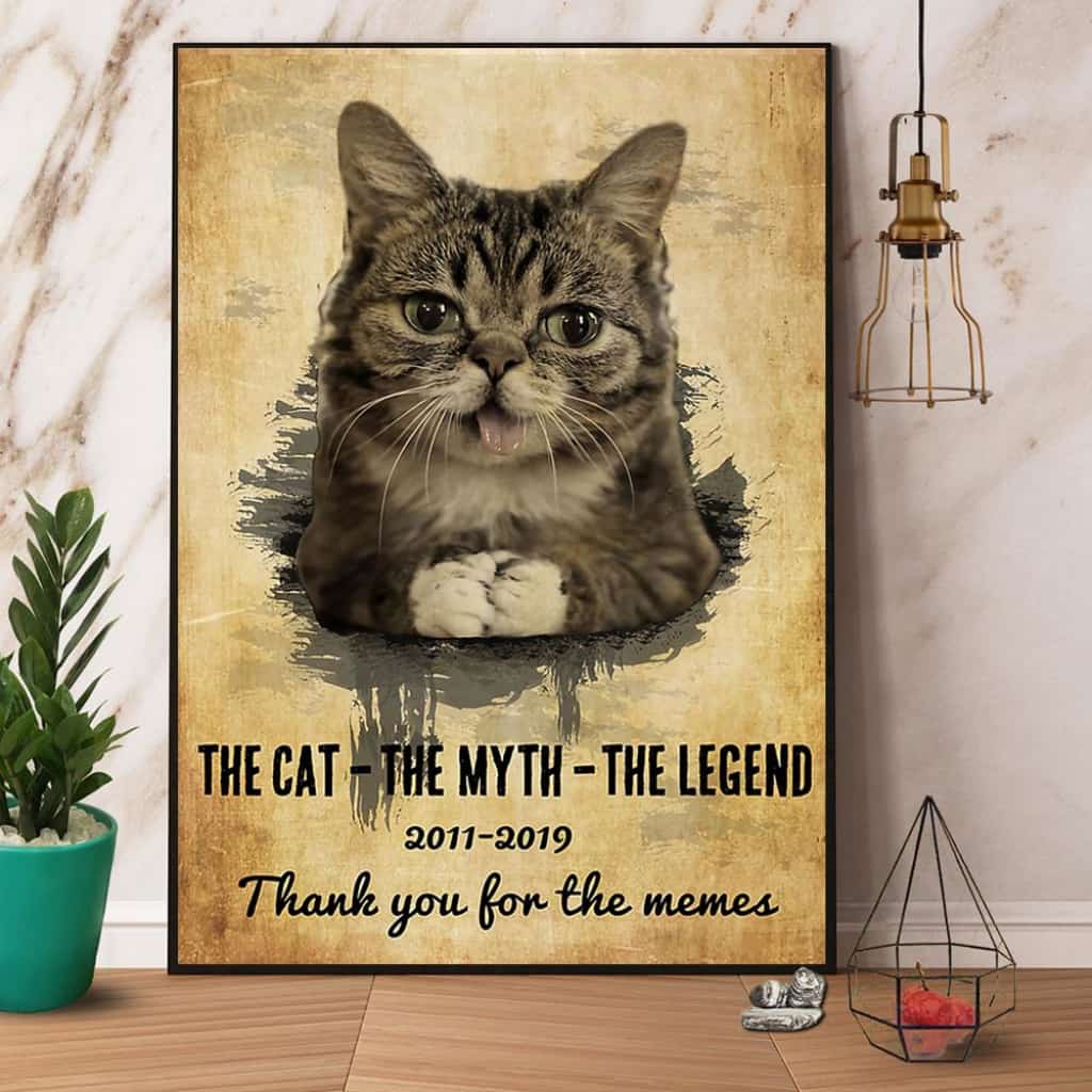 Cat The Cat The Myth The Legend Thank You For The Memes Paper Poster No Frame Matte Canvas Wall Decor