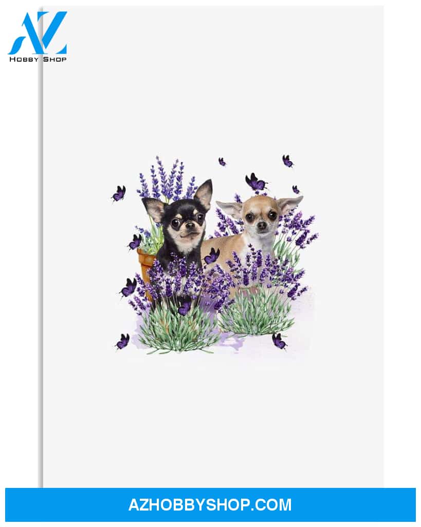 Chihuahua with lavender flower poster