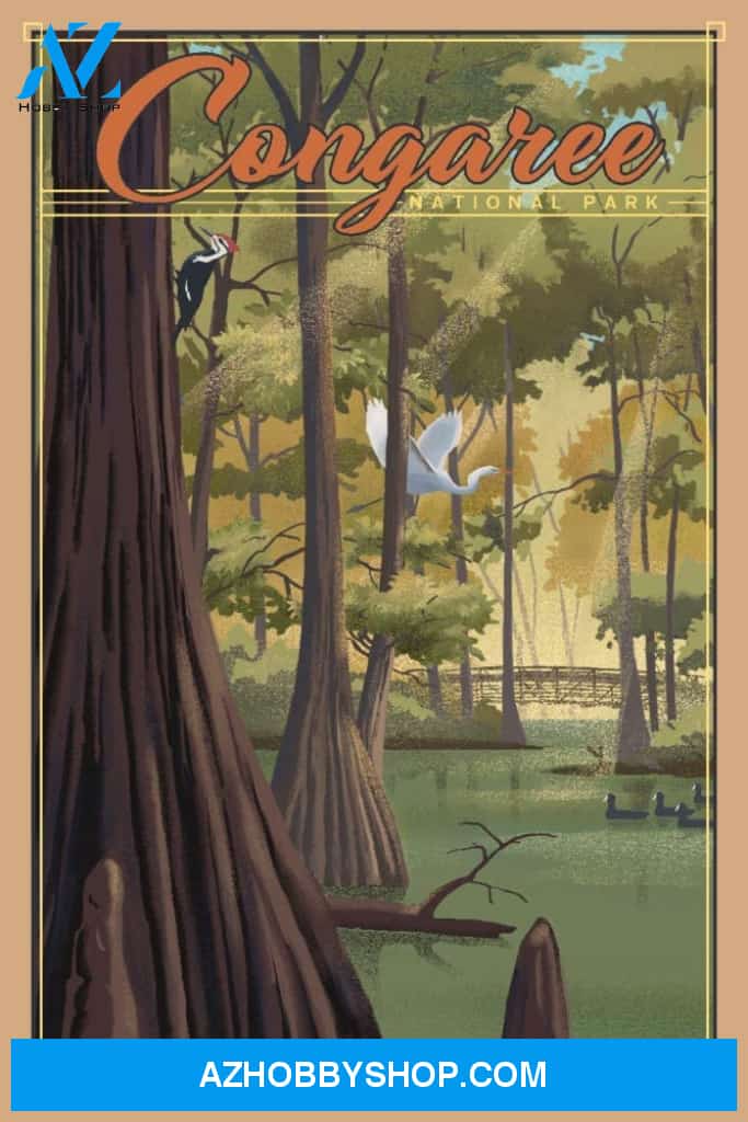 Congaree National Park South Carolina Lithograph National Park Series